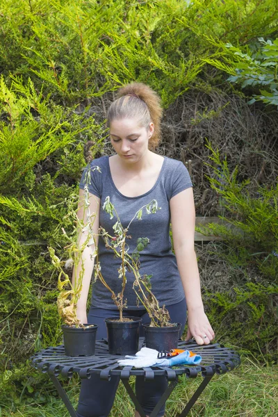 Porträtt av söt flicka upprörd som groddar torkade — Stockfoto