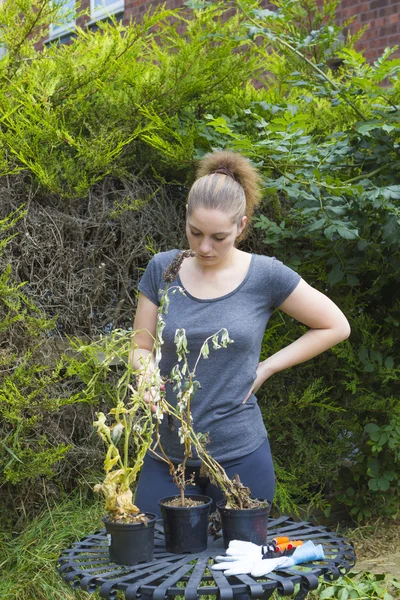 Portrait of pretty girl upset as sprouts dried — Stock Photo, Image