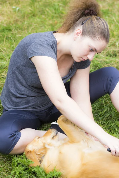 Linda chica peinando perro al aire libre — Foto de Stock