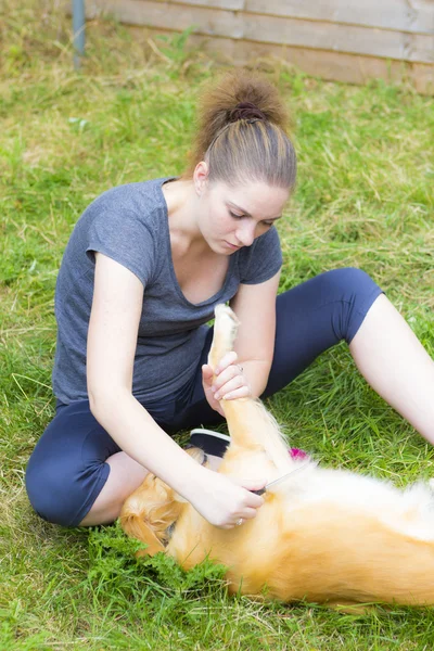 Linda chica peinando perro al aire libre — Foto de Stock