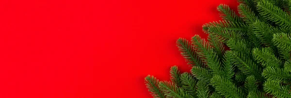 Top View Banner Green Fir Tree Branches Colorful Background New — Stock Photo, Image