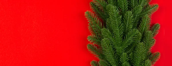 Top View Colorful Background Made Green Fir Tree Branches New — Stock Photo, Image