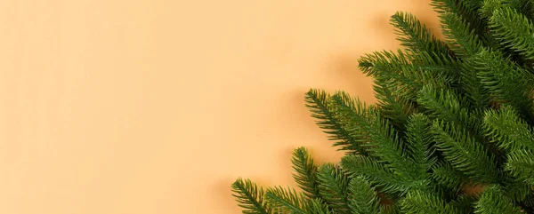 Top View Banner Van Groene Dennenbomen Takken Kleurrijke Achtergrond Nieuwjaarsvakantie — Stockfoto