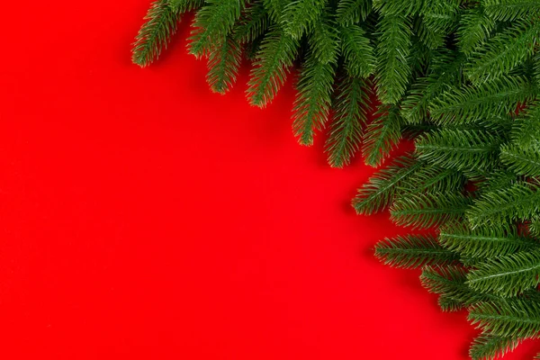 Draufsicht Auf Grüne Tannenzweige Auf Buntem Hintergrund Neujahrsferien Konzept Mit — Stockfoto