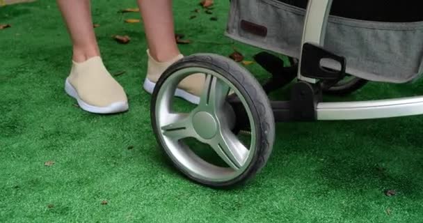 Moeder met een baby in een wandelwagen loopt in het park op groen gras — Stockvideo