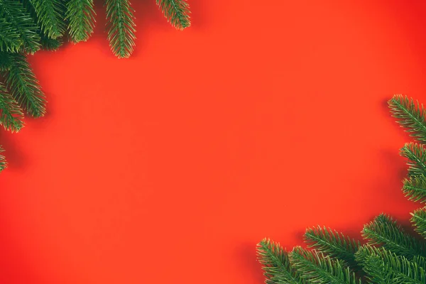 Top View Colorful Background Made Green Fir Tree Branches New — Stock Photo, Image