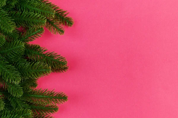 Vue Dessus Cadre Sapin Sur Fond Coloré Avec Espace Copie — Photo