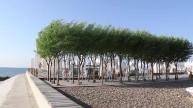 Odessa 'daki Idyllic manzarası. Kafe kıyıya yakın büyük yeşil ağaçlarla süslenmiştir.