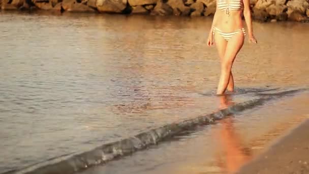Ženy silueta chůze podél pobřeží při západu slunce, boční pohled — Stock video
