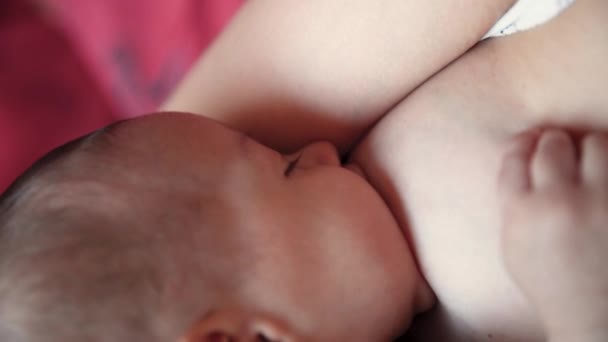 Женщина кормит новорожденного грудью. Дети едят молоко матерей. Концепция грудного младенца — стоковое видео
