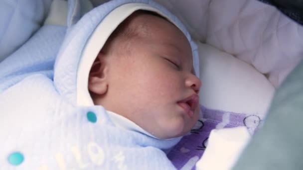 Söt liten pojke sover i barnvagn på utomhus — Stockvideo
