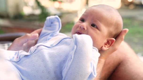 Les parents jouent avec le nouveau-né petit enfant le tenant dans leurs bras — Video