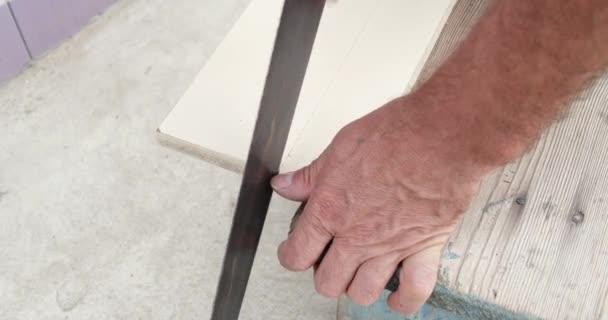 Hombre cortando a través de tablero de madera con sierra de mano en el jardín — Vídeo de stock