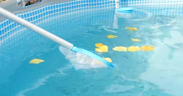Čištění bazénu s pletivem odpěňovač. Dlouhá síť čistí barevné listí od vodní hladiny — Stock video