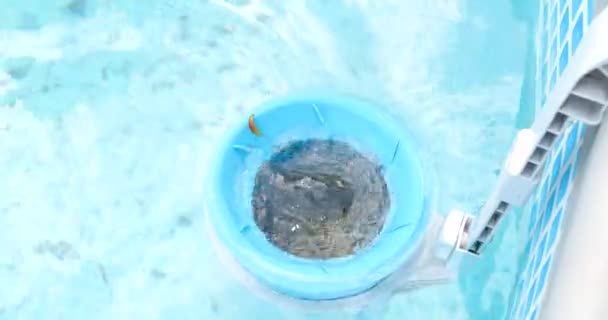 Skimmer voor de frame pool. Verontreinigd zwembadreinigingsconcept — Stockvideo