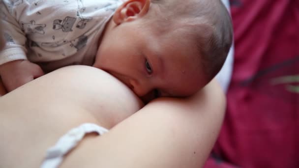 Mujer amamantando bebé recién nacido. Bebé comiendo leche de madres. Concepto de lactancia infantil — Vídeo de stock