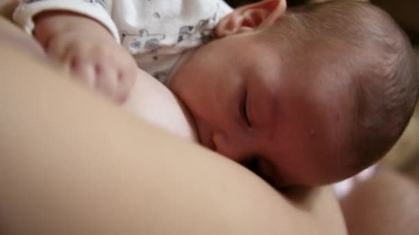 Vrouw die pasgeboren baby borstvoeding geeft. Baby die moedermelk eet. Concept van lactatie zuigeling — Stockvideo