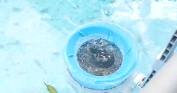 Skimmer para la piscina marco. Concepto de limpieza de piscinas contaminadas — Vídeo de stock