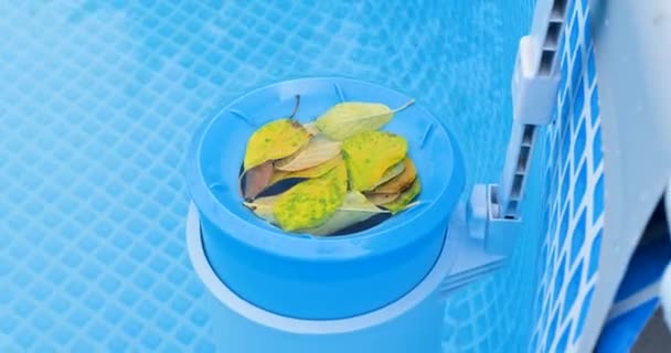 Escumadeira para a piscina de molduras. Conceito de limpeza de piscinas contaminadas — Vídeo de Stock