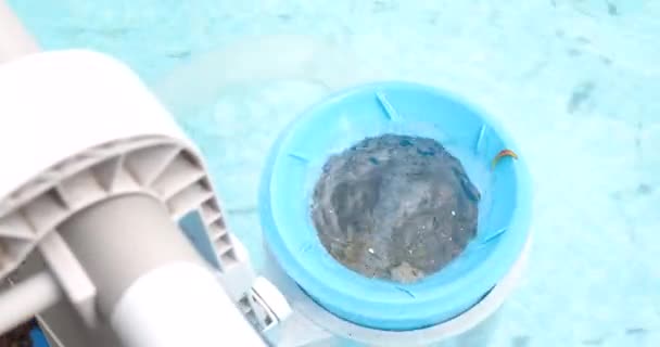 Skimmer para la piscina marco. Concepto de limpieza de piscinas contaminadas — Vídeos de Stock
