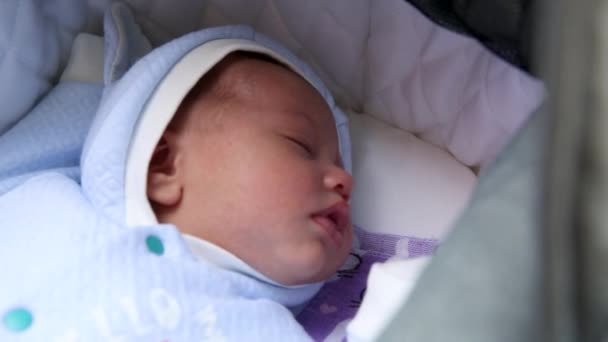 Söt liten pojke sover i barnvagn på utomhus — Stockvideo