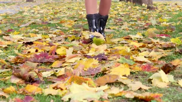 Piernas de una mujer caminando sobre hojas caídas. Las piernas de mujer con estilo en botas en un día frío de otoño. Día frío de otoño en el parque — Vídeos de Stock