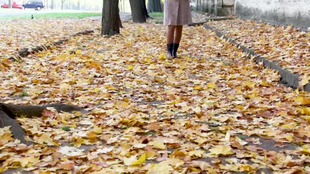 Düşen yaprakların üzerinde yürüyen bir kadının bacakları. Soğuk bir sonbahar gününde çizmeli şık kadın bacakları. Parkta sonbahar soğuk günü — Stok video