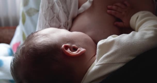 Madre amamantando al bebé en casa. concepto de maternidad y cuidado de la maternidad. Alegre mamá disfrutar de la lactancia materna — Vídeos de Stock