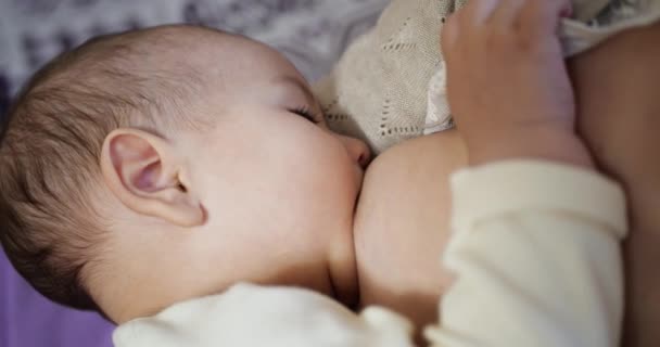 Femme allaitant le nouveau-né. Bébé mangeant du lait maternel. Concept de lactation infantile — Video