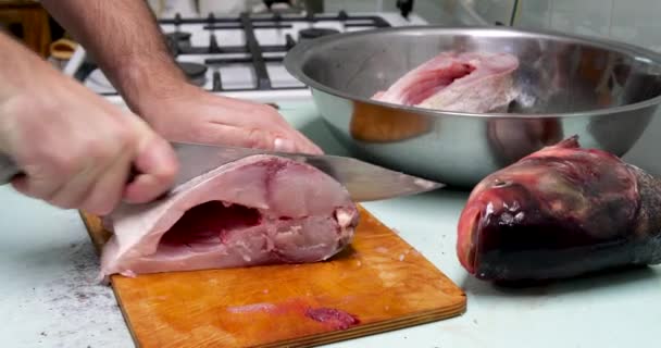 El hombre prepara pescado fresco de carpa de plata. Lo corta en filetes con un cuchillo. concepto de cocina casera — Vídeo de stock