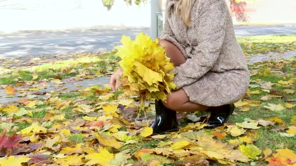 Mulher coleta folhas amarelas caídas no parque de outono — Vídeo de Stock
