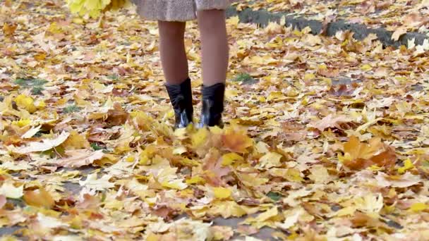 Benen van een vrouw die op gevallen bladeren loopt. Stijlvolle vrouwenbenen in laarzen op een koude herfstdag. Herfst koude dag in het park — Stockvideo