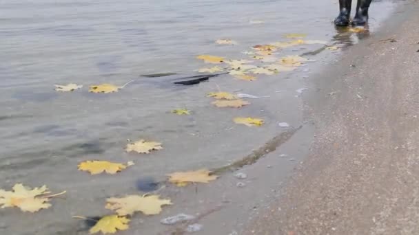 El arce amarillo-naranja y las hojas de roble yacen en el agua. Otoño hojas caídas fluyen río abajo — Vídeo de stock