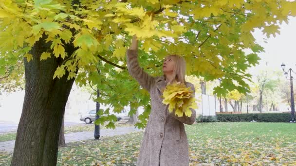아름다운 여인이 나뭇가지에서 노란 나뭇잎을 따서 공원에 꽃다발을 만든다 — 비디오