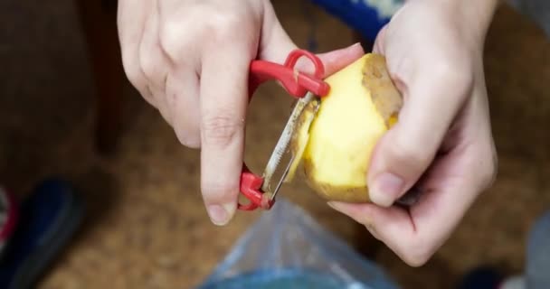 La donna sbuccia le patate mentre è seduta su una sedia in cucina — Video Stock