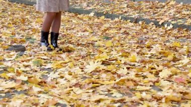 Düşen yaprakların üzerinde yürüyen bir kadının bacakları. Soğuk bir sonbahar gününde çizmeli şık kadın bacakları. Parkta sonbahar soğuk günü