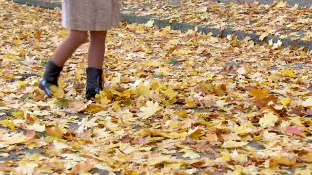 Düşen yaprakların üzerinde yürüyen bir kadının bacakları. Soğuk bir sonbahar gününde çizmeli şık kadın bacakları. Parkta sonbahar soğuk günü — Stok video