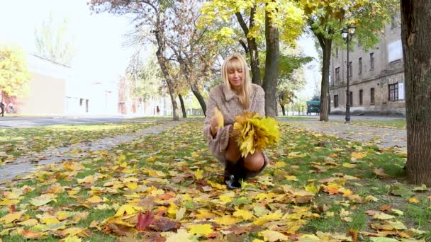 Kvinna samlar fallna gula löv i höstparken — Stockvideo