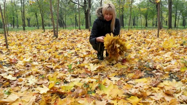 Vrouw verzamelt gevallen gele bladeren in de herfst park — Stockvideo