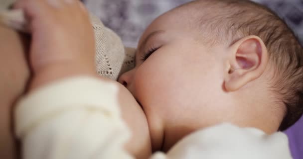 Femme allaitant le nouveau-né. Bébé mangeant du lait maternel. Concept de lactation infantile — Video