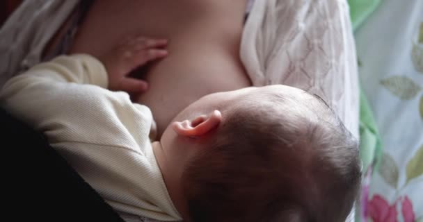 Vrouw die pasgeboren baby borstvoeding geeft. Baby die moedermelk eet. Concept van lactatie zuigeling — Stockvideo