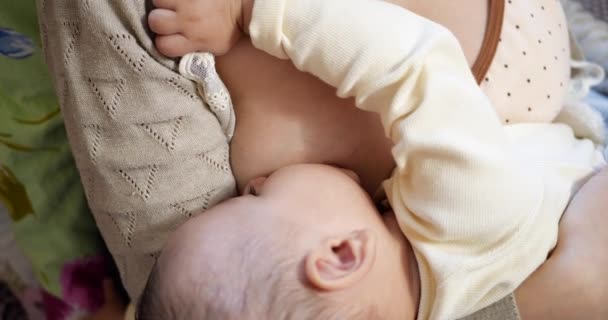 Mother breastfeeding baby. Cheerful mom enjoy breastfeeding at home. motherhood and maternity care concept — Stock Video