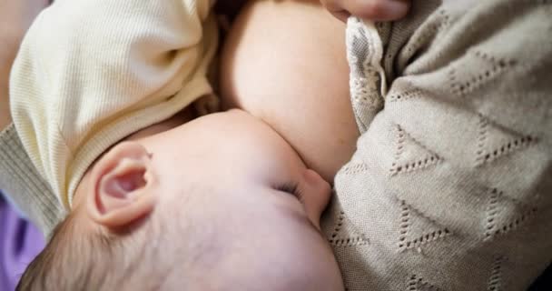 Mulher amamentando bebê recém-nascido. Bebê comendo leite materno. Conceito de lactação infantil — Vídeo de Stock