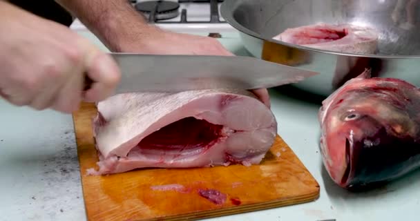 El hombre prepara pescado fresco de carpa de plata. Lo corta en filetes con un cuchillo. concepto de cocina casera — Vídeo de stock