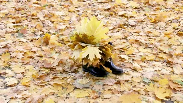 落ちた葉の上に立っている女性のブーツの下のビュー。秋の公園をコンセプトに — ストック動画