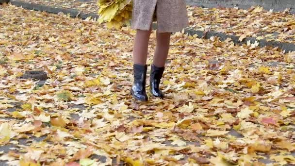 Piernas de una mujer caminando sobre hojas caídas. Las piernas de mujer con estilo en botas en un día frío de otoño. Día frío de otoño en el parque — Vídeos de Stock