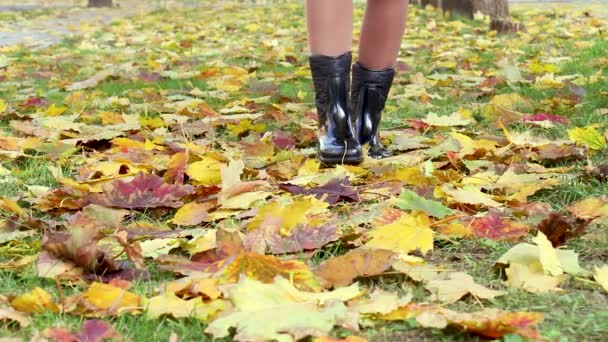 Piernas de una mujer caminando sobre hojas caídas. Las piernas de mujer con estilo en botas en un día frío de otoño. Día frío de otoño en el parque — Vídeos de Stock