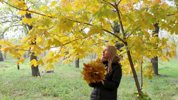 Belle femme cueille les feuilles jaunes d'une branche et crée un bouquet dans le parc — Video
