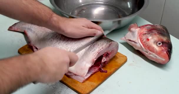 Der Mensch bereitet frischen Silberkarpfen zu. Mit einem Messer in Steaks schneiden. Hausmannskost — Stockvideo