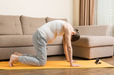 Evde yoga minderinde otururken elinde akıllı telefon tutan hamile bir kadın. Coronavirus zamanında spor ya da yoga eğitimi çevrimiçi.